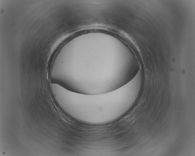 X0000073971320200609181441