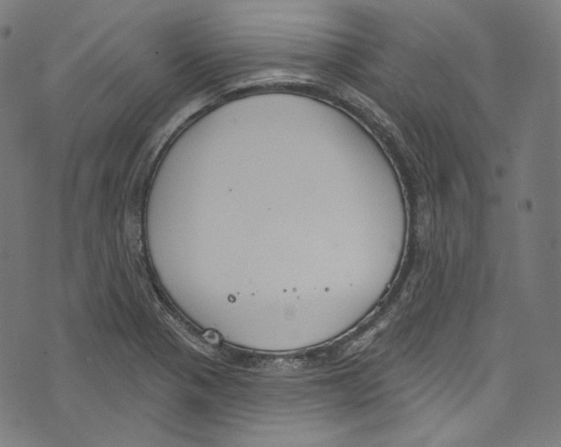 X0000073971321200609181441