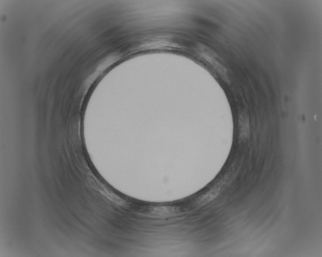 X0000073971322200609181441