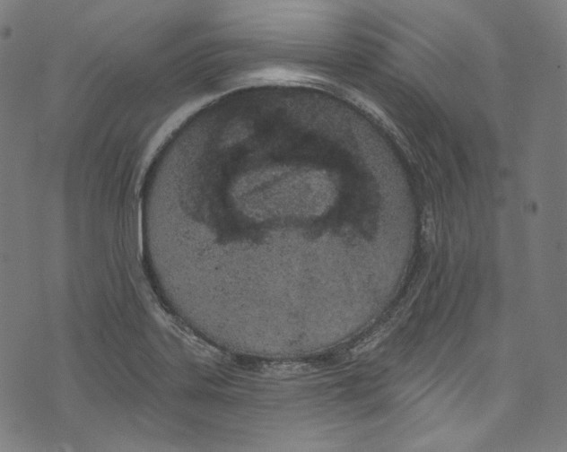 X0000073971323200609181441