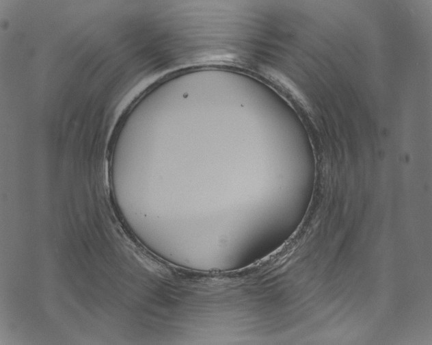 X0000073971324200609181441