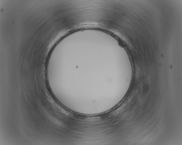 X0000073971325200609181441