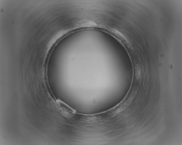 X0000073971326200609181441