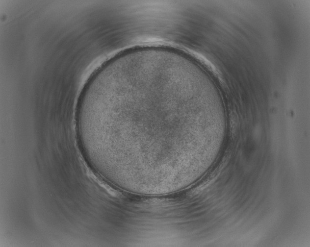 X0000073971327200609181441