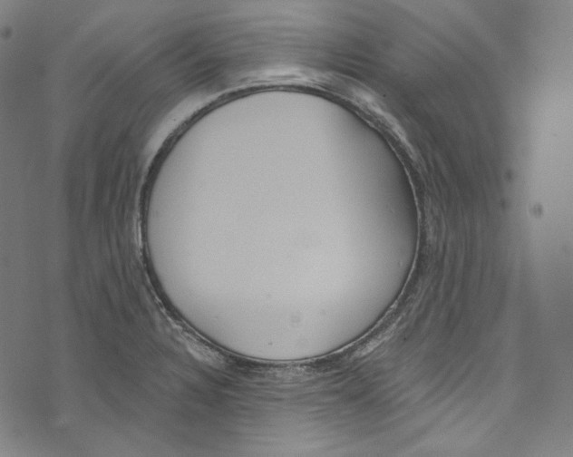 X0000073971328200609181442