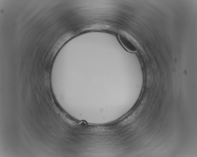 X0000073971329200609181442