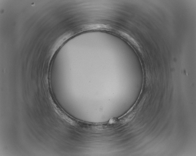 X0000073971330200609181442