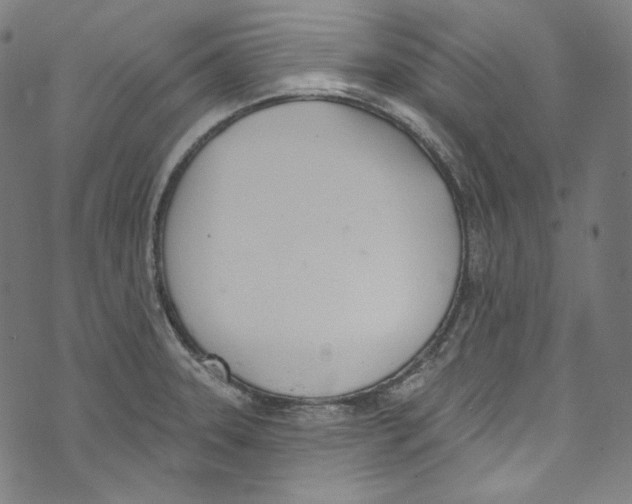 X0000073971331200609181442