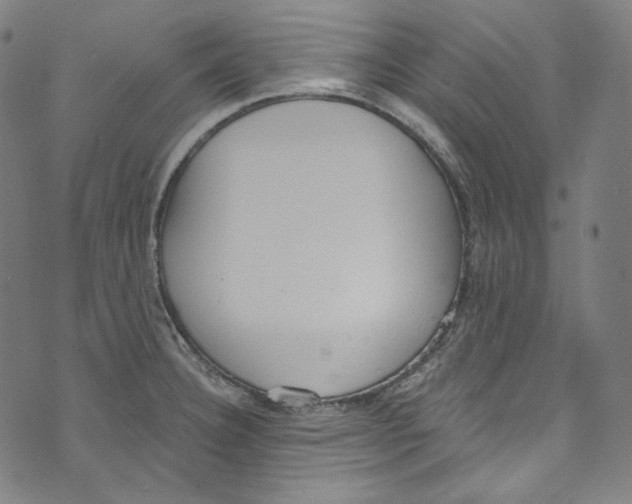 X0000073971332200609181442