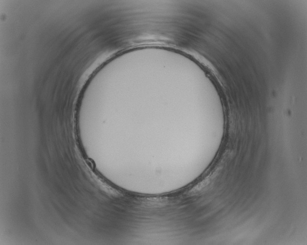 X0000073971333200609181442