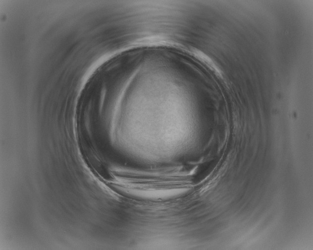 X0000073971334200609181442