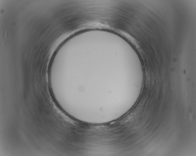 X0000073971335200609181442