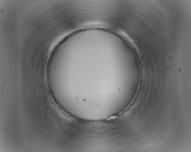 X0000073971336200609181442