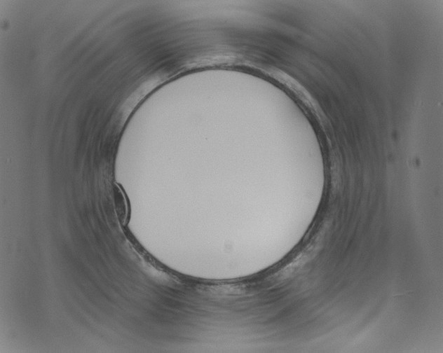 X0000073971337200609181442