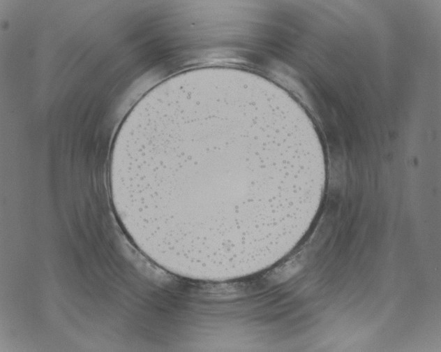 X0000073971338200609181442