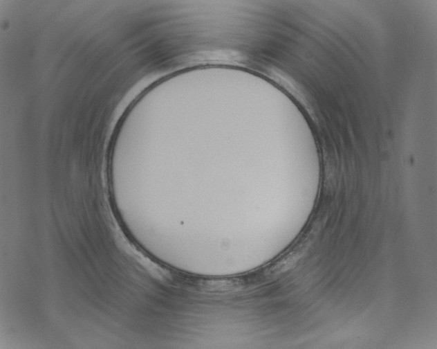 X0000073971339200609181442