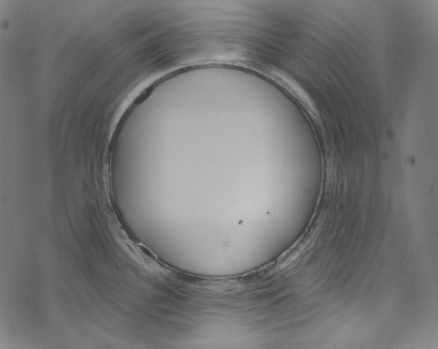 X0000073971340200609181442