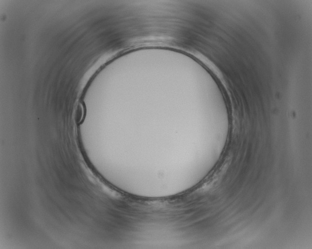 X0000073971341200609181442