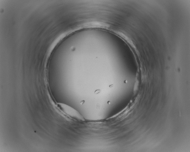 X0000073971342200609181442