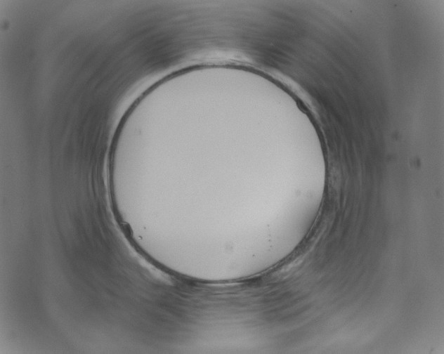 X0000073971343200609181442