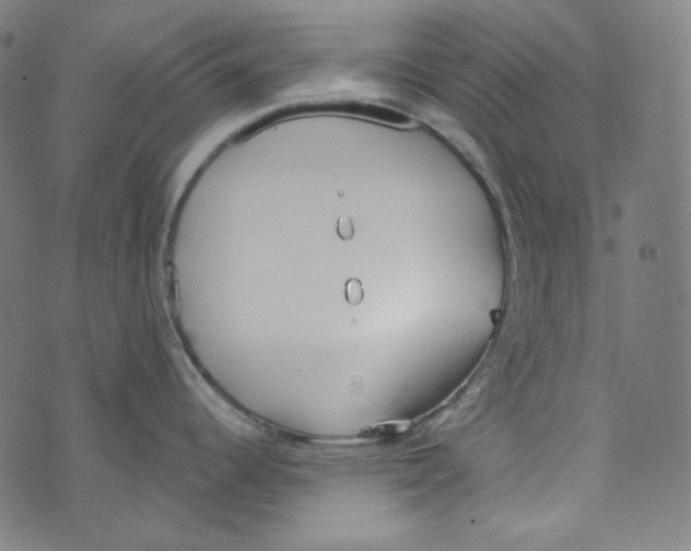 X0000073971344200609181442