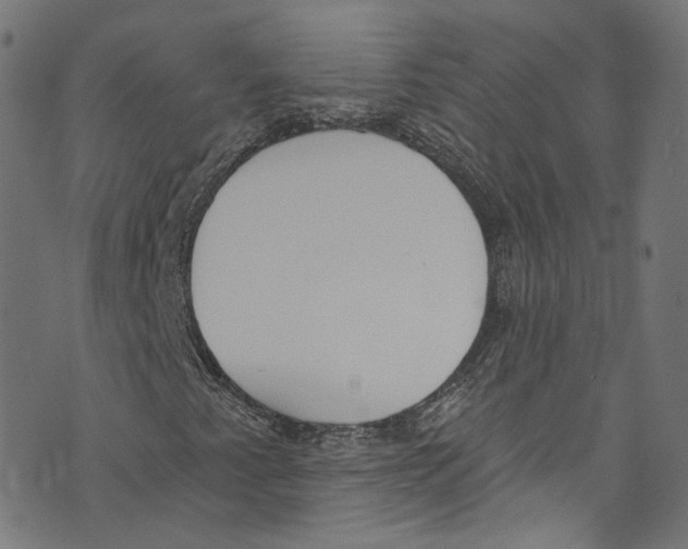 X0000073971345200609181441