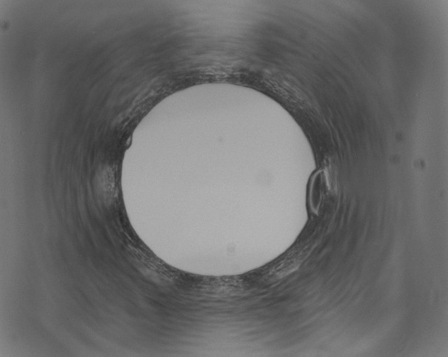 X0000073971347200609181441