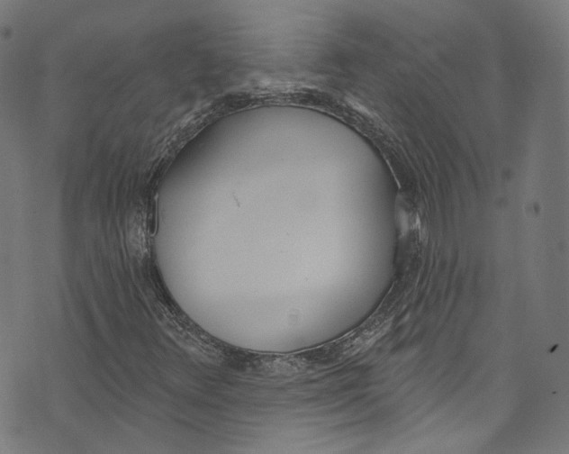 X0000073971348200609181441