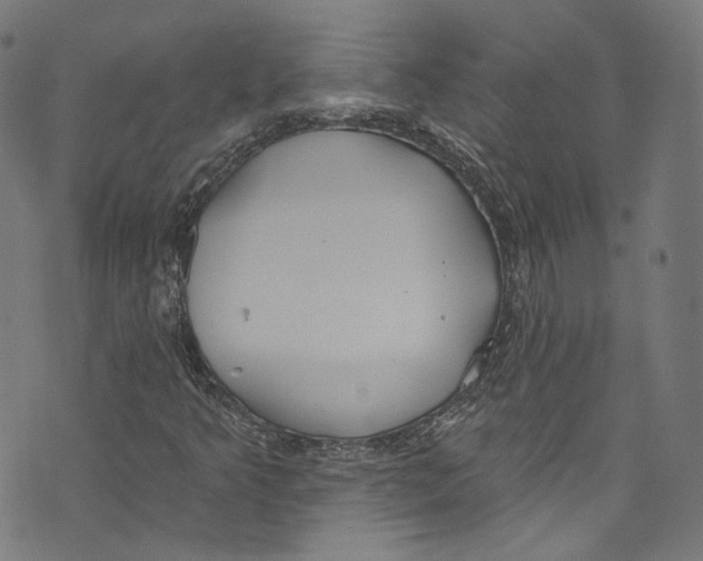 X0000073971349200609181441