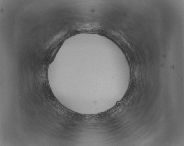 X0000073971350200609181441