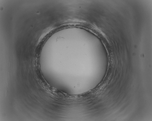 X0000073971352200609181441