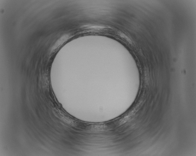 X0000073971354200609181441