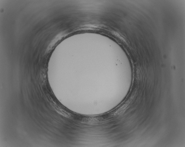 X0000073971355200609181441