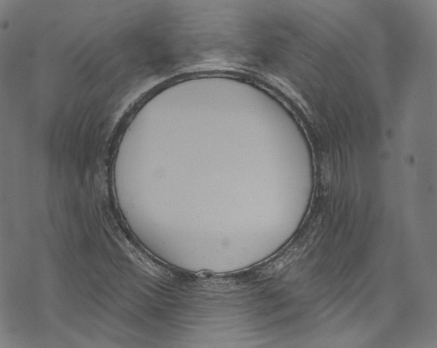 X0000073971356200609181441