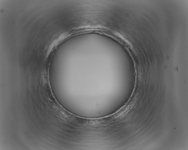 X0000073971357200609181441