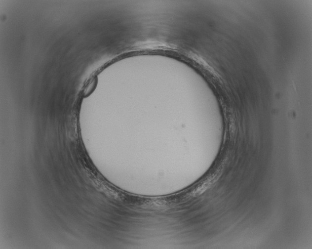 X0000073971358200609181441