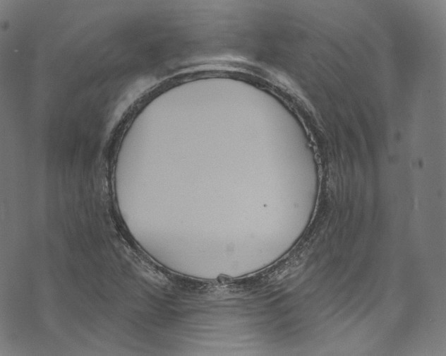 X0000073971360200609181441