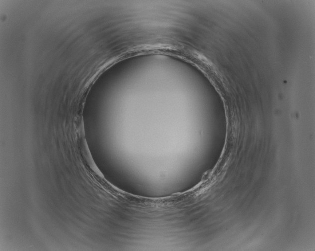 X0000073971361200609181441