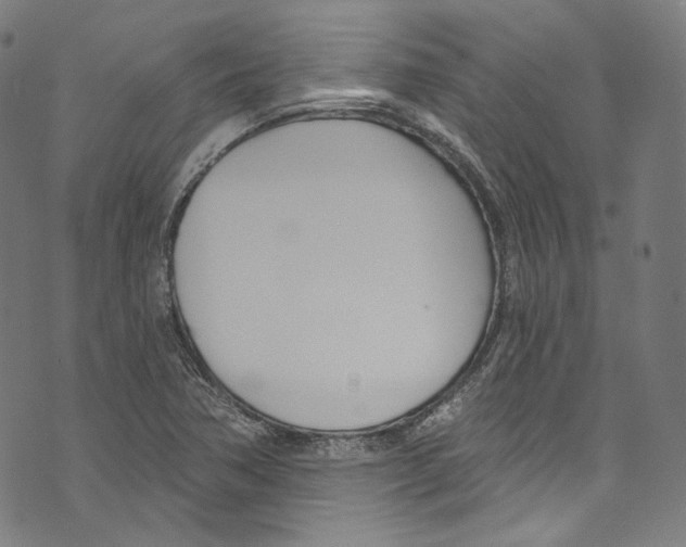 X0000073971362200609181441