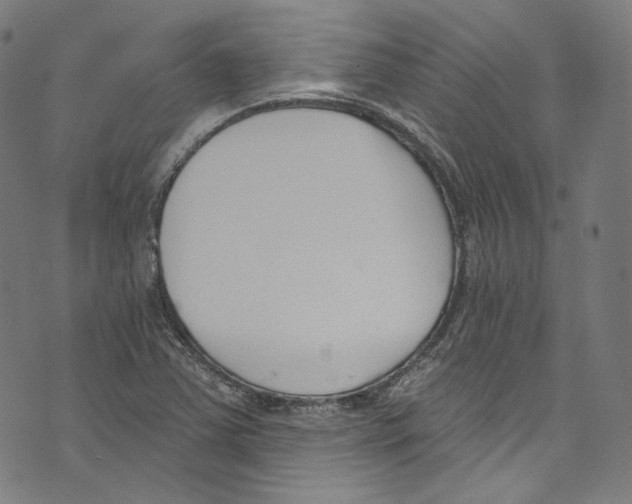 X0000073971363200609181441