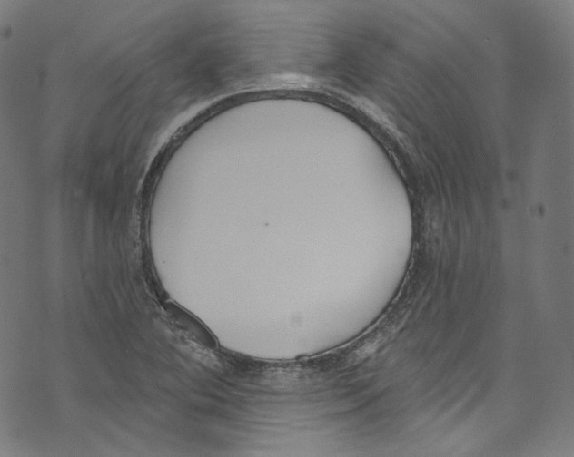 X0000073971364200609181441