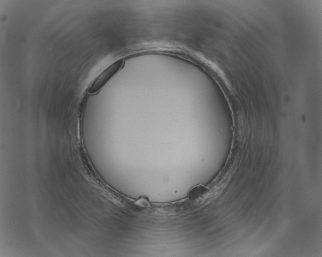 X0000073971365200609181441