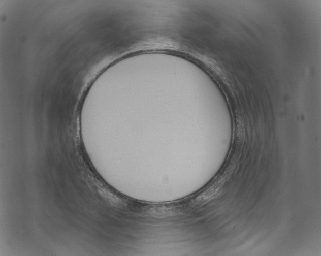 X0000073971366200609181441