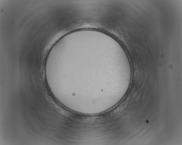 X0000073971367200609181441