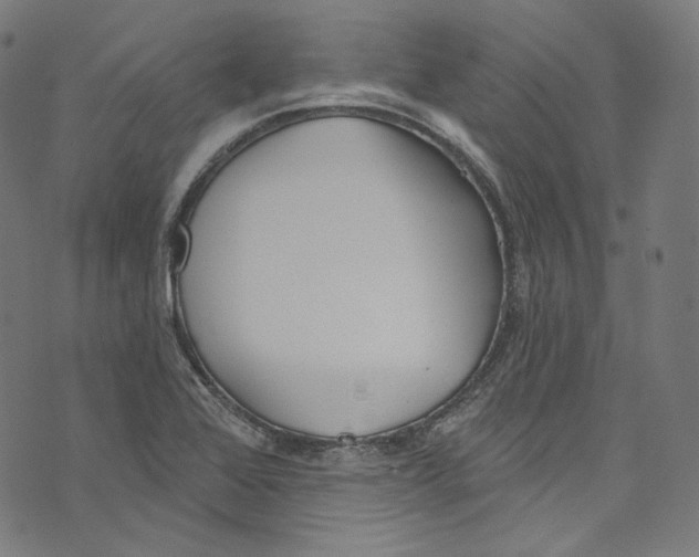 X0000073971368200609181441