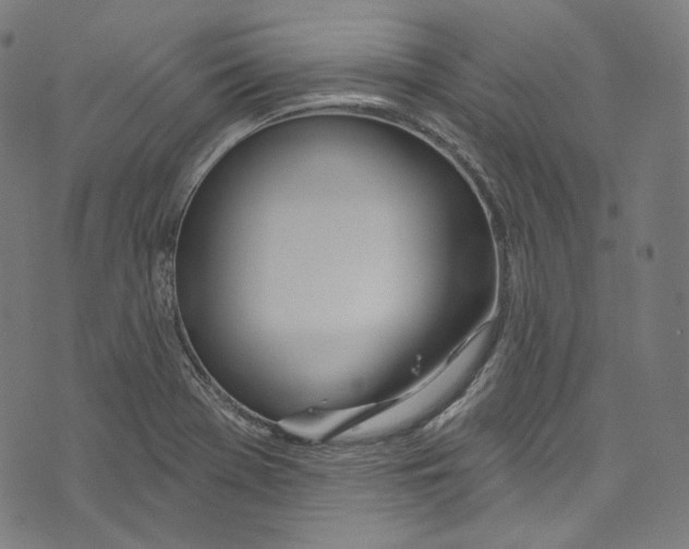 X0000073971369200609181440