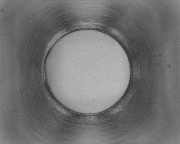 X0000073971370200609181440