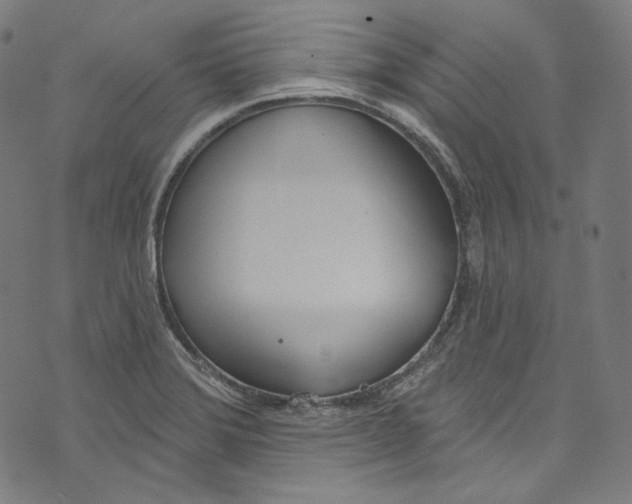 X0000073971372200609181440