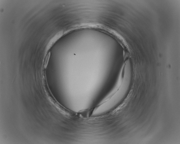 X0000073971373200609181440