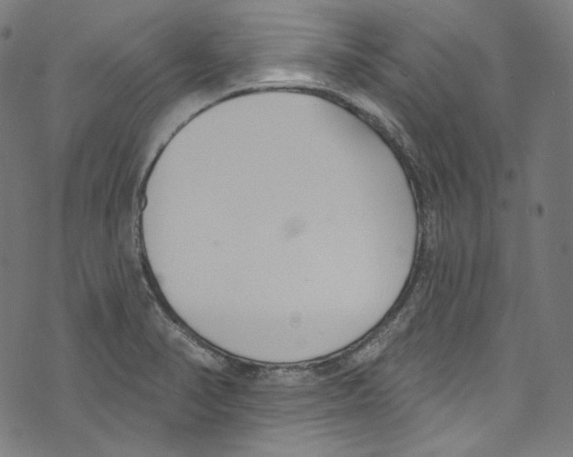 X0000073971374200609181440